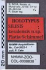 Etikette zu Silesis keralensis (NHMW-ZOO-COL-0008838)